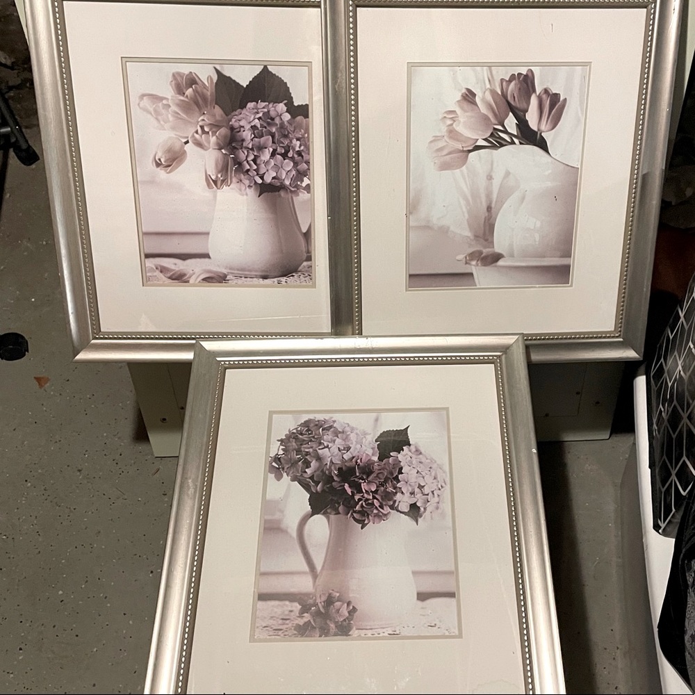 3 framed mint condition pictures